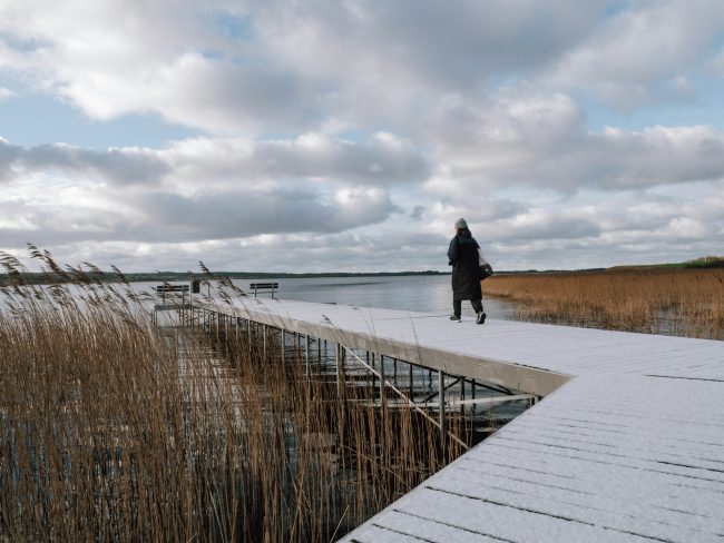 Best Materials for Building a Durable Dock in Harsh Prairie Climates dock materials