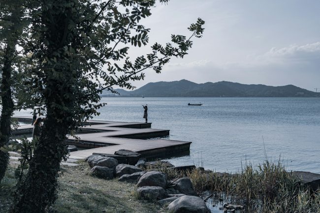 Simple Shoreline Landscaping Ideas to Complement Your Dock shoreline landscaping