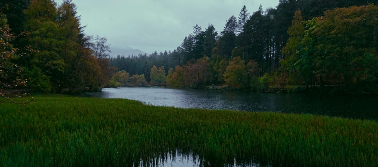 Lake of the Woods Shorelines