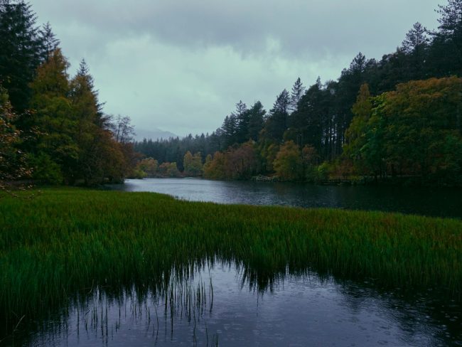 Lake of the Woods Shorelines Lake of the Woods Shorelines