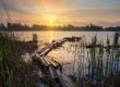 shoreline erosion prevention