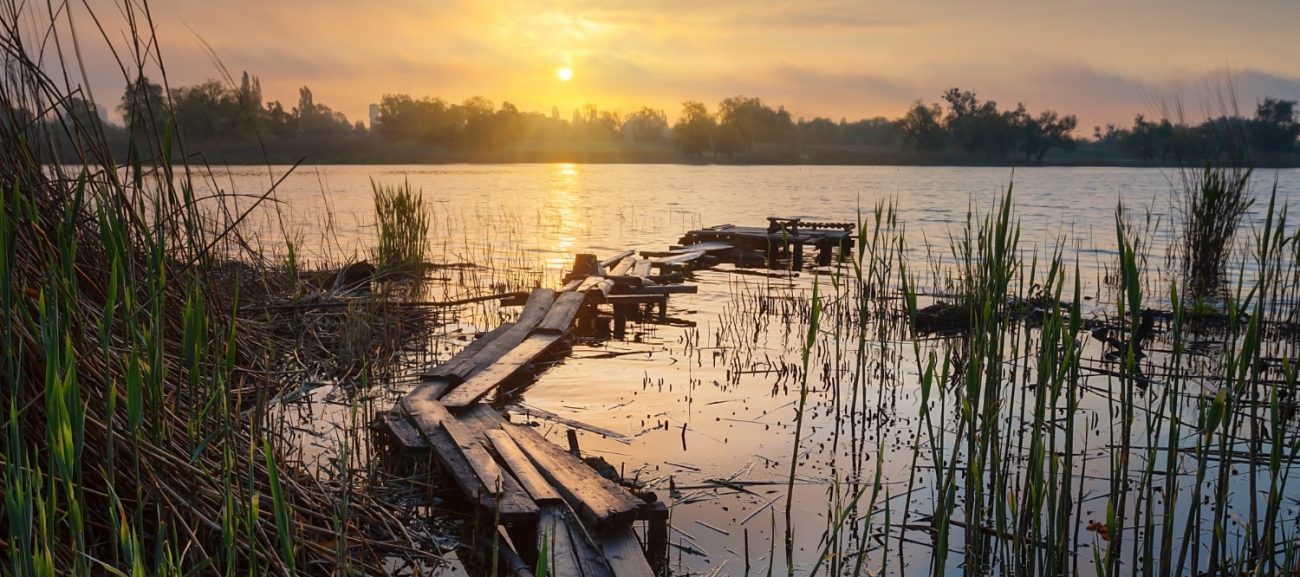 shoreline erosion prevention