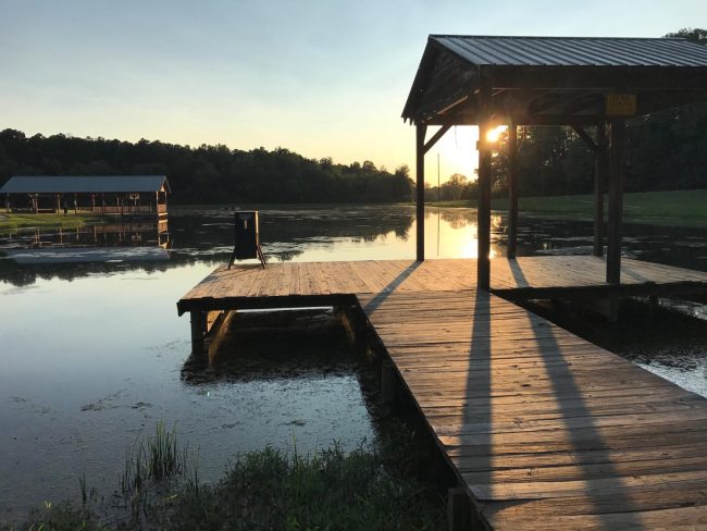 Organized cottage dock with storage bench overlooking Lake of the Woods at sunrise Organized cottage dock with storage bench overlooking Lake of the Woods at sunrise