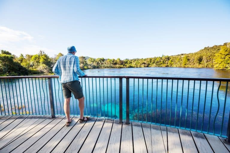 how-to-create-a-safer-swimming-area-around-your-cottage-waterfront safe cottage swimming area - How To Create A Safer Swimming Area Around Your Cottage Waterfront